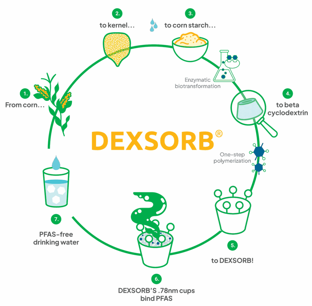Dexsorb Cycle